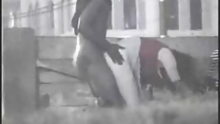 بڑا گوشت دار کالا لن ...